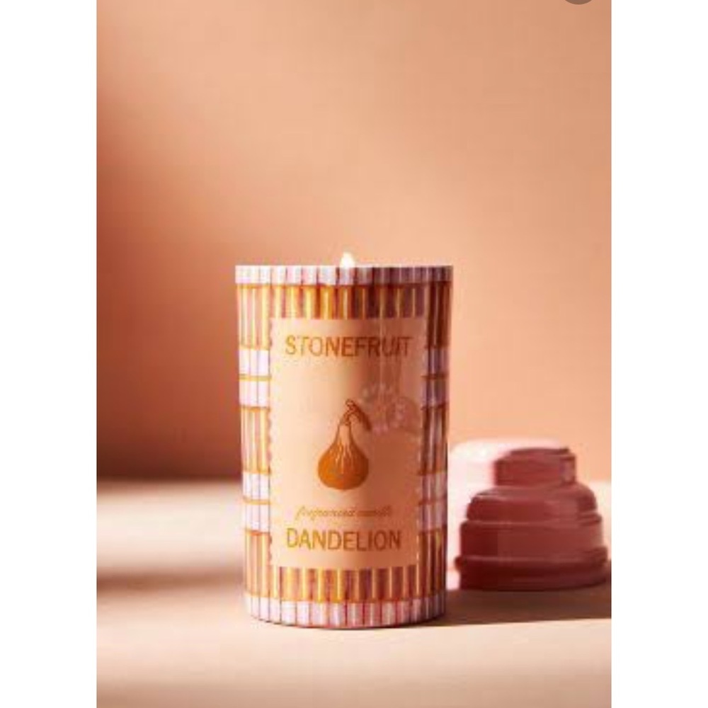 NWT Anthropologie Foodie Tin Candle in Stonefruit Dandelion